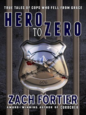 cover image of Hero to Zero